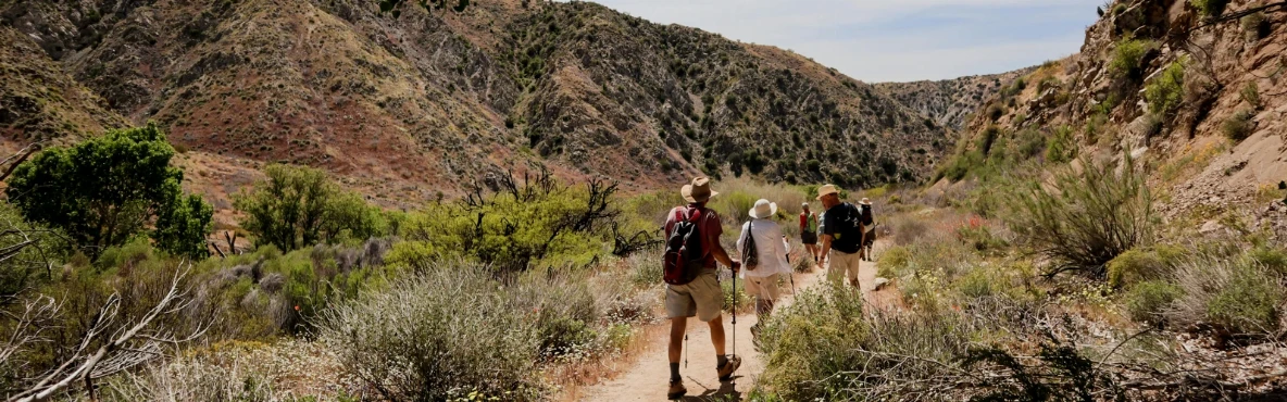 Best Hikes in Orange County